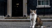 Six PMs Down… Is Larry About to Welcome His 7th?